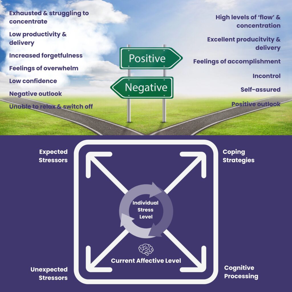 Think Organisation Stress Model
