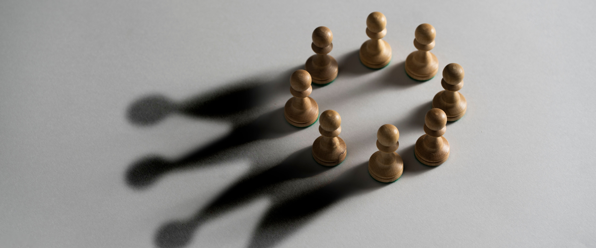 Image of wooden leaders creating culture shadows